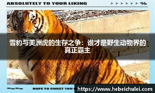 雪豹与美洲虎的生存之争：谁才是野生动物界的真正霸主